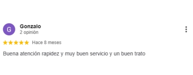 Opinión de Google 2